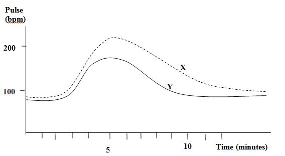 circulation-graph